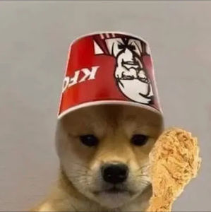 Meet your Posher, Wayne